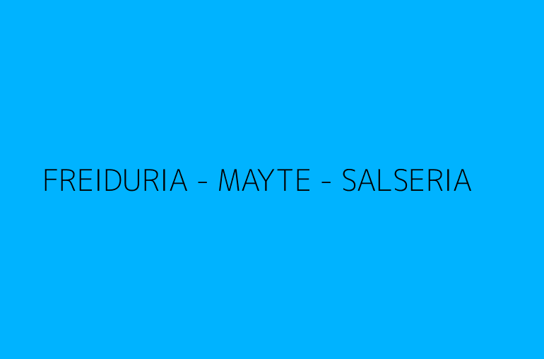 FREIDURIA - MAYTE - SALSERIA